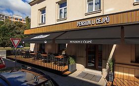 Penzion U Čejpu